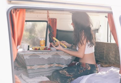 Travellers Autobarn Budgie Van